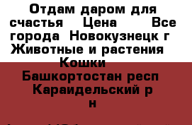 Отдам даром для счастья. › Цена ­ 1 - Все города, Новокузнецк г. Животные и растения » Кошки   . Башкортостан респ.,Караидельский р-н